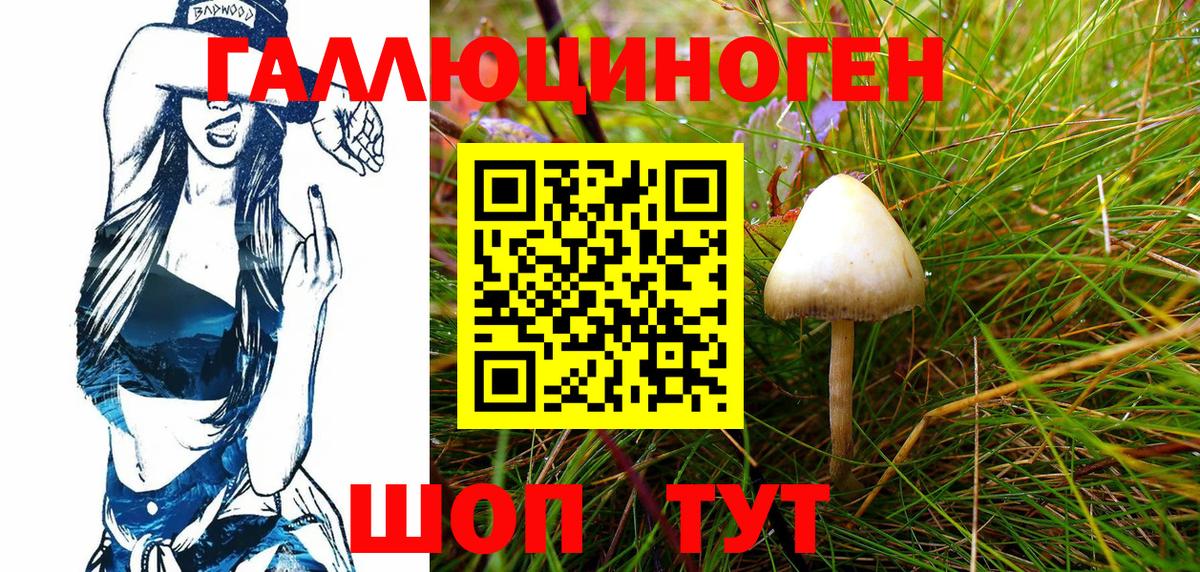 Экстази  Вход с VPN  МАРИХУАНА  Меф   ТГК  КОКАИН  Фрязино  APVP СОЛЬ   MDMA  Гашиш 