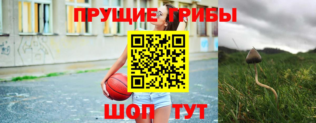 Псилоцибиновые грибы мухоморы  Вход с VPN  Фрязино  Галлюциногенные грибы Magic Shrooms 